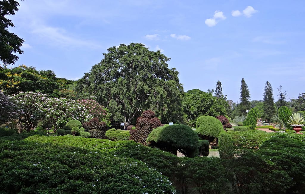   Best places to visit in Bangalore with your partner - Botanical Garden Lal Bagh 