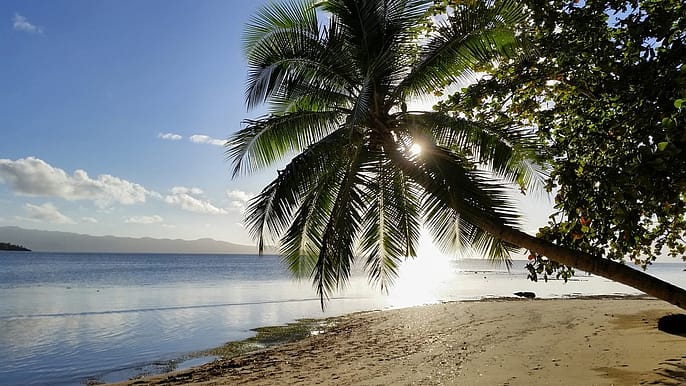 The Fiji Islands 